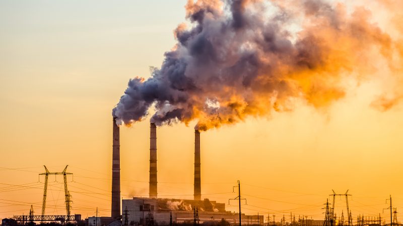 Los 5 problemas medioambientales más graves