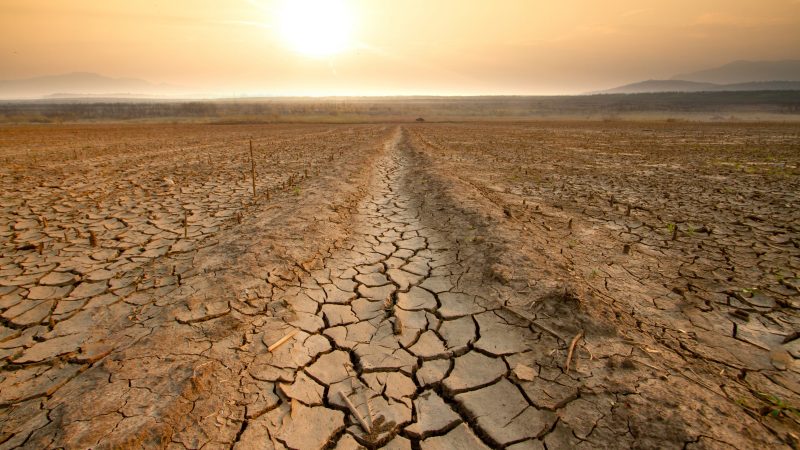 Sequía, la gran enemiga del verano