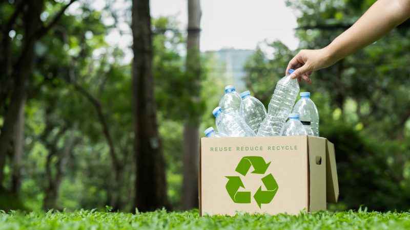 L’Impacte del plàstic en el medi ambient i com reduir-ne l’ús