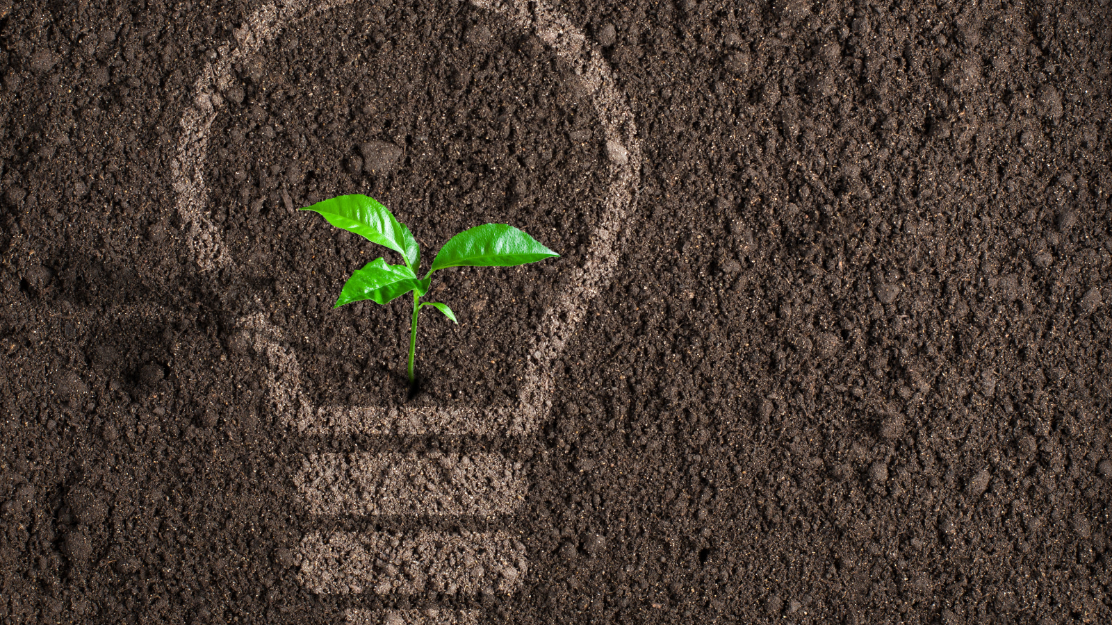 Què significa ser ecofriendly?