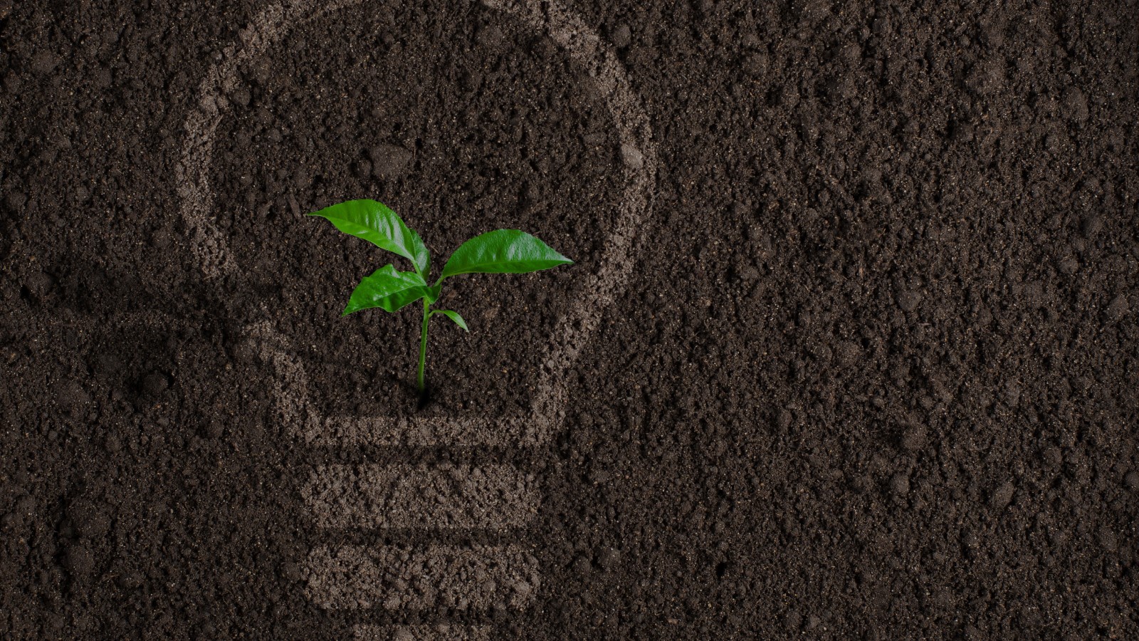 ¿Qué significa ser ecofriendly? 