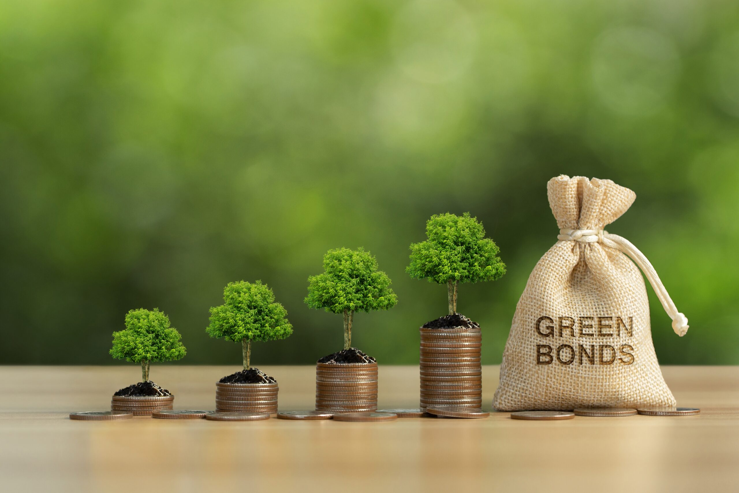 Green bonds, social bonds i sustainability-linked loans: què són?
