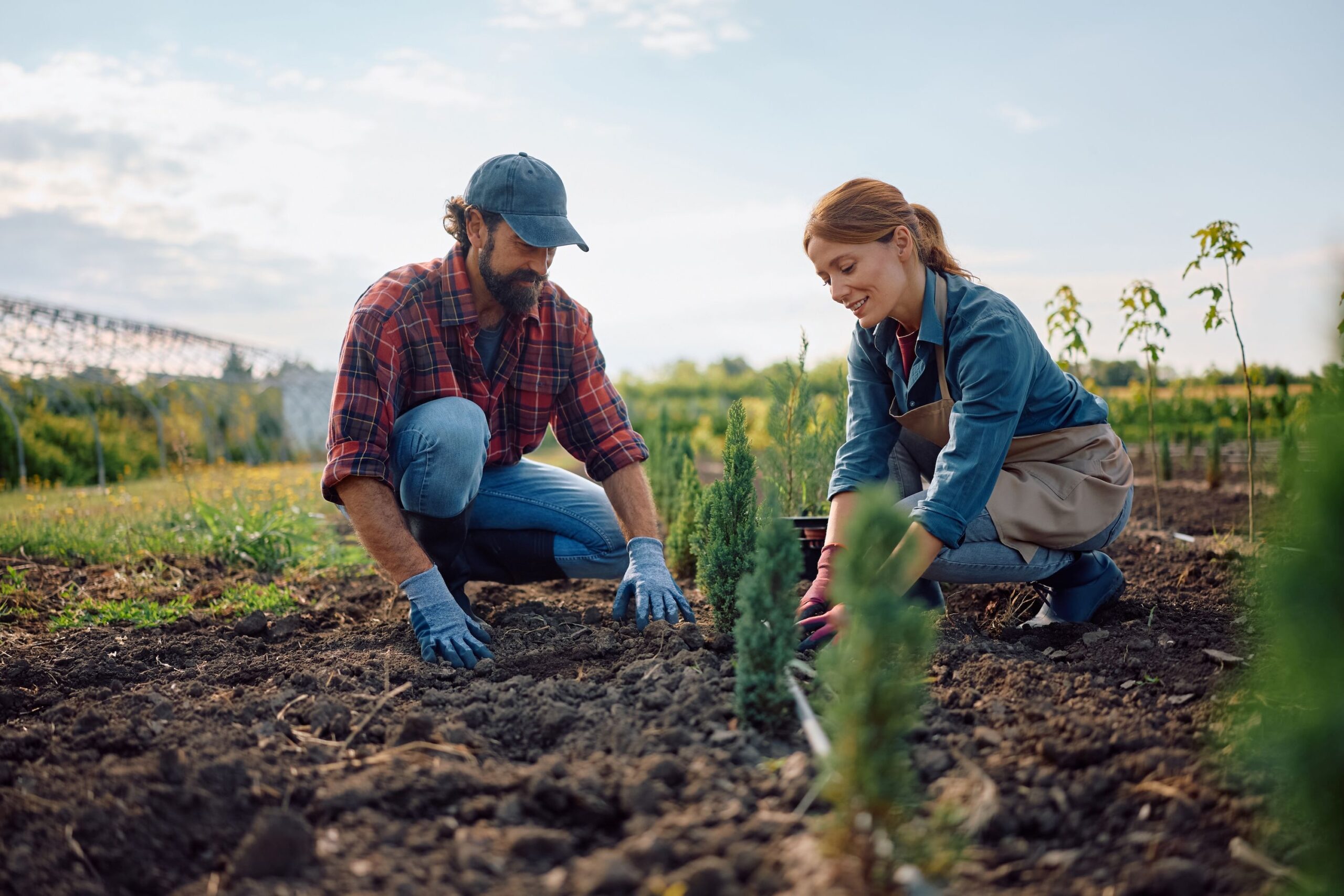 Cuatro ideas sostenibles para sorprender estas fiestas